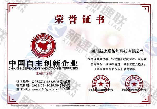 中国自主创新企业